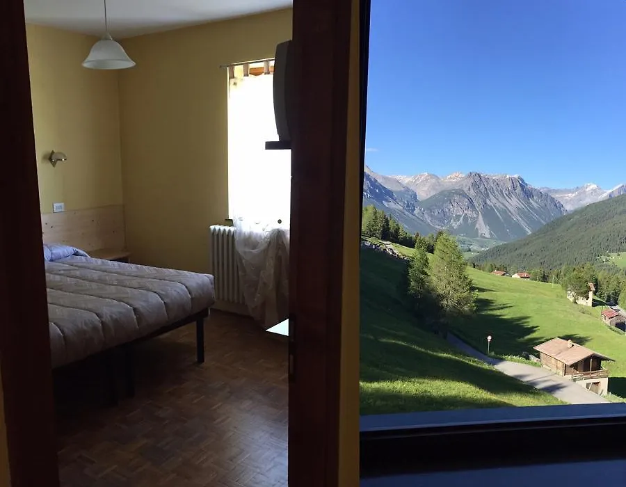 Hotel Viola-1