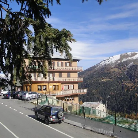 Hotel Viola-2